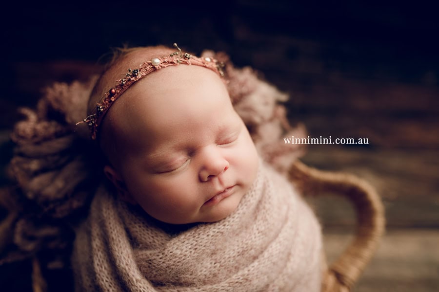 babies newborn baby family photographer photography photograph photos photo babies gold coast brisbane the best family picture pictures tanha basile winni mini
