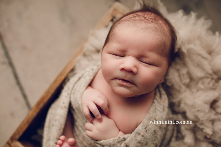 babies newborn baby family photographer photography photograph photos photo babies gold coast brisbane the best family picture pictures tanha basile winni mini