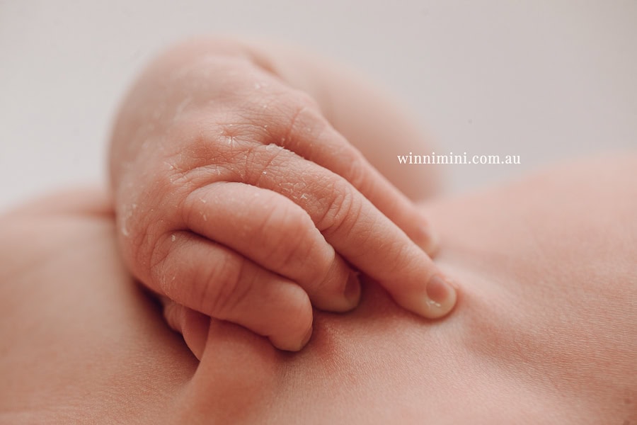 newborn baby family photographer photography photograph photos photo babies gold coast brisbane the best family picture pictures tanha basile winni mini
