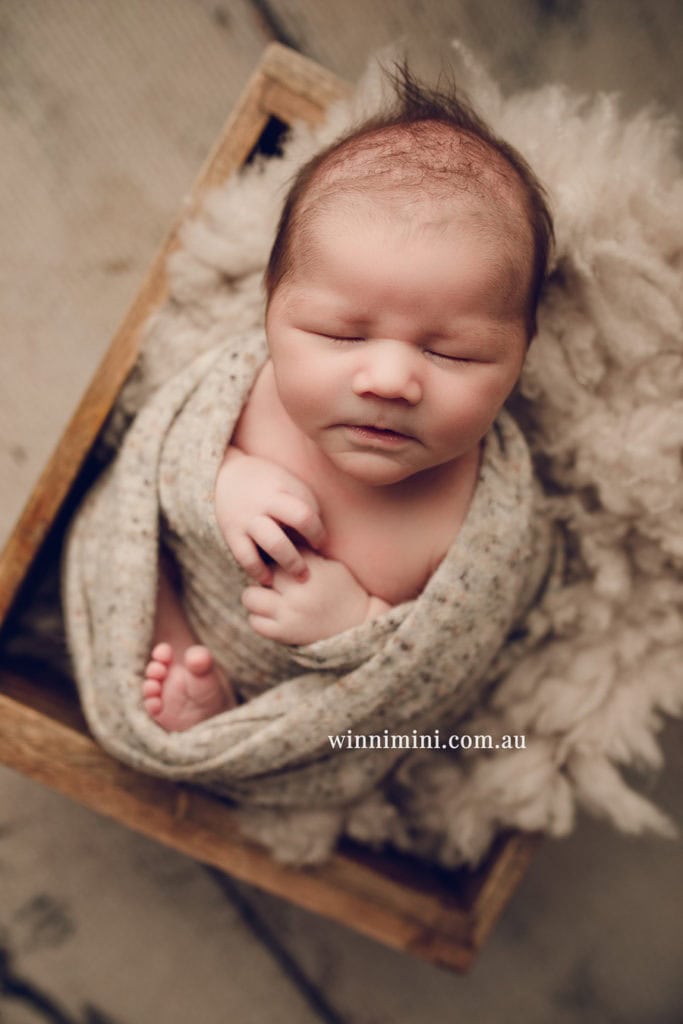 babies newborn baby family photographer photography photograph photos photo babies gold coast brisbane the best family picture pictures tanha basile winni mini
