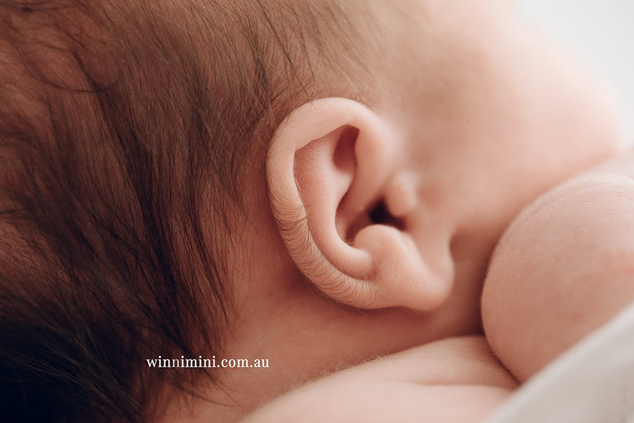 babies newborn baby family photographer photography photograph photos photo babies gold coast brisbane the best family picture pictures tanha basile winni mini