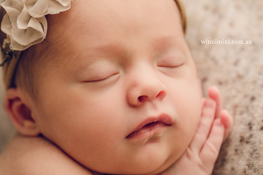 babies newborn baby family photographer photography photograph photos photo babies gold coast brisbane the best family picture pictures tanha basile winni mini
