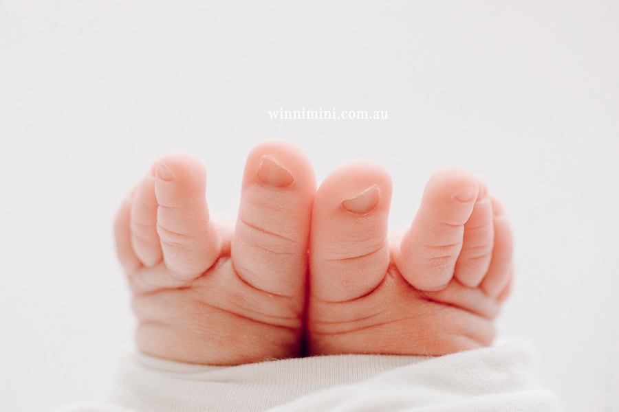 babies newborn baby family photographer photography photograph photos photo babies gold coast brisbane the best family picture pictures tanha basile winni mini