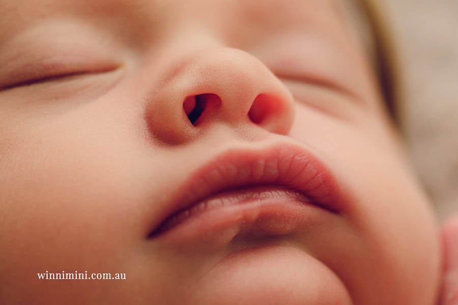 babies newborn baby family photographer photography photograph photos photo babies gold coast brisbane the best family picture pictures tanha basile winni mini