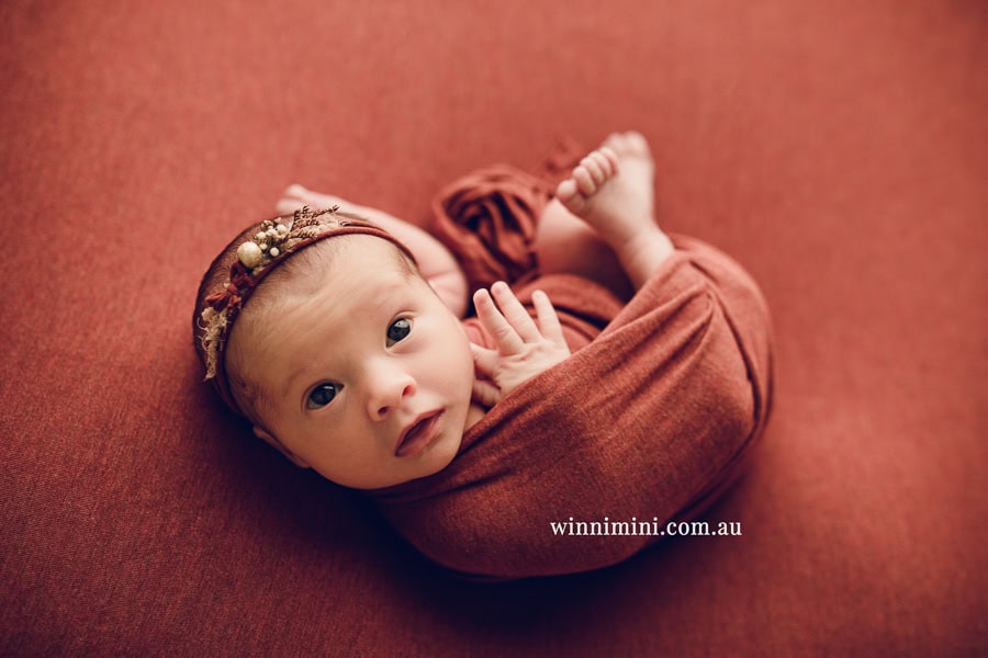 babies newborn baby family photographer photography photograph photos photo babies gold coast brisbane the best family picture pictures tanha basile winni mini