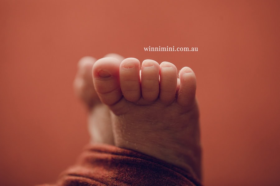 babies newborn baby family photographer photography photograph photos photo babies gold coast brisbane the best family picture pictures tanha basile winni mini