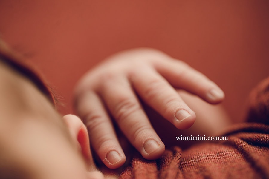 babies newborn baby family photographer photography photograph photos photo babies gold coast brisbane the best family picture pictures tanha basile winni mini
