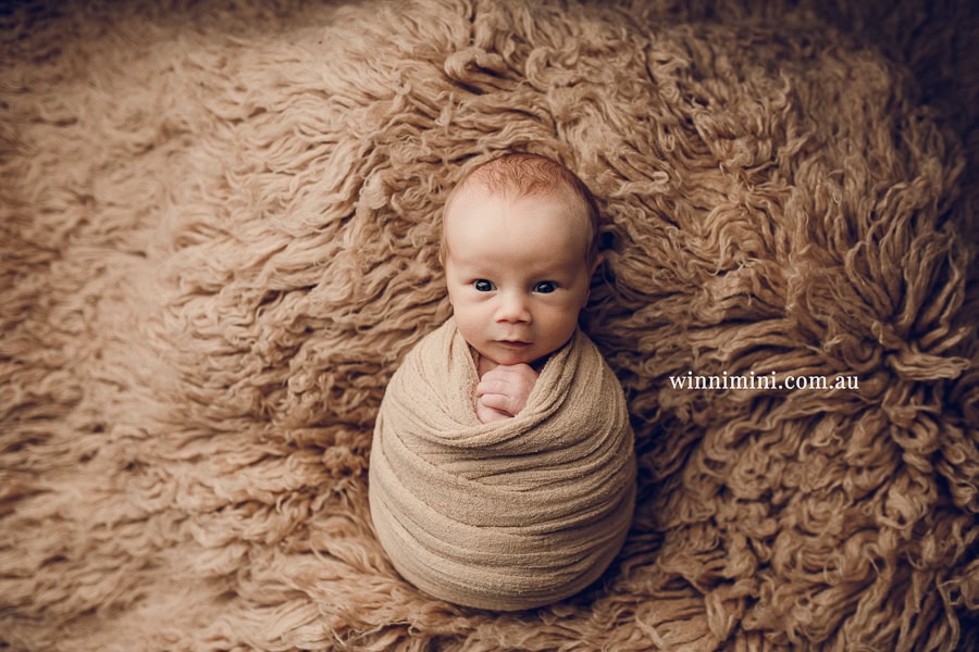 newborn baby family photographer photography photograph photos photo babies gold coast brisbane the best family picture pictures tanha basile winni mini
