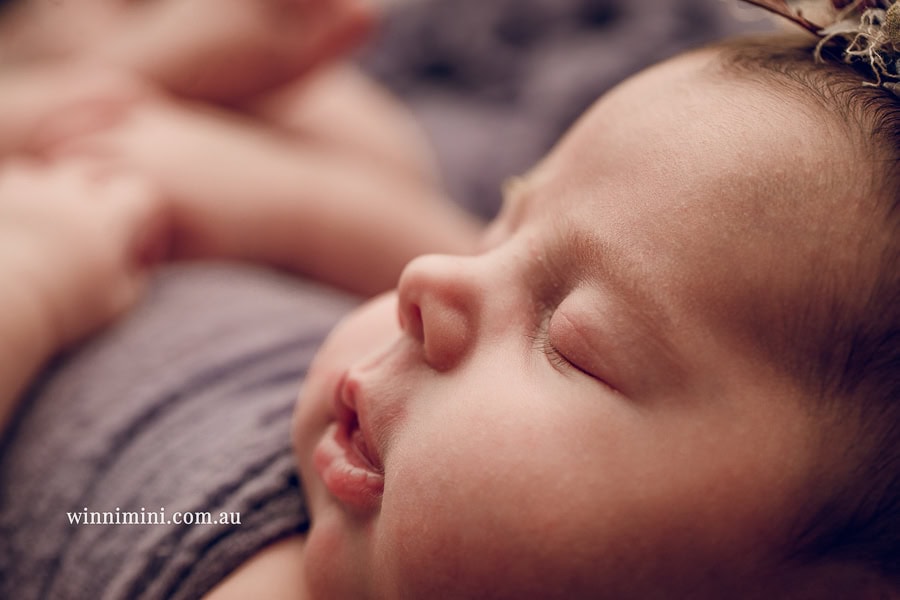 newborn baby family photographer photography photograph photos photo babies gold coast brisbane the best family picture pictures tanha basile winni mini
