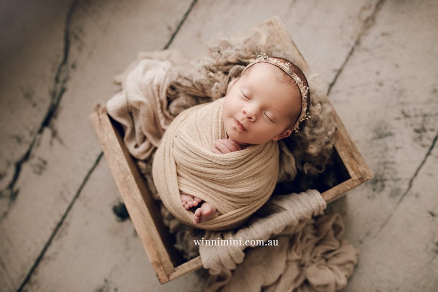 babies newborn baby family photographer photography photograph photos photo babies gold coast brisbane the best family picture pictures tanha basile winni mini