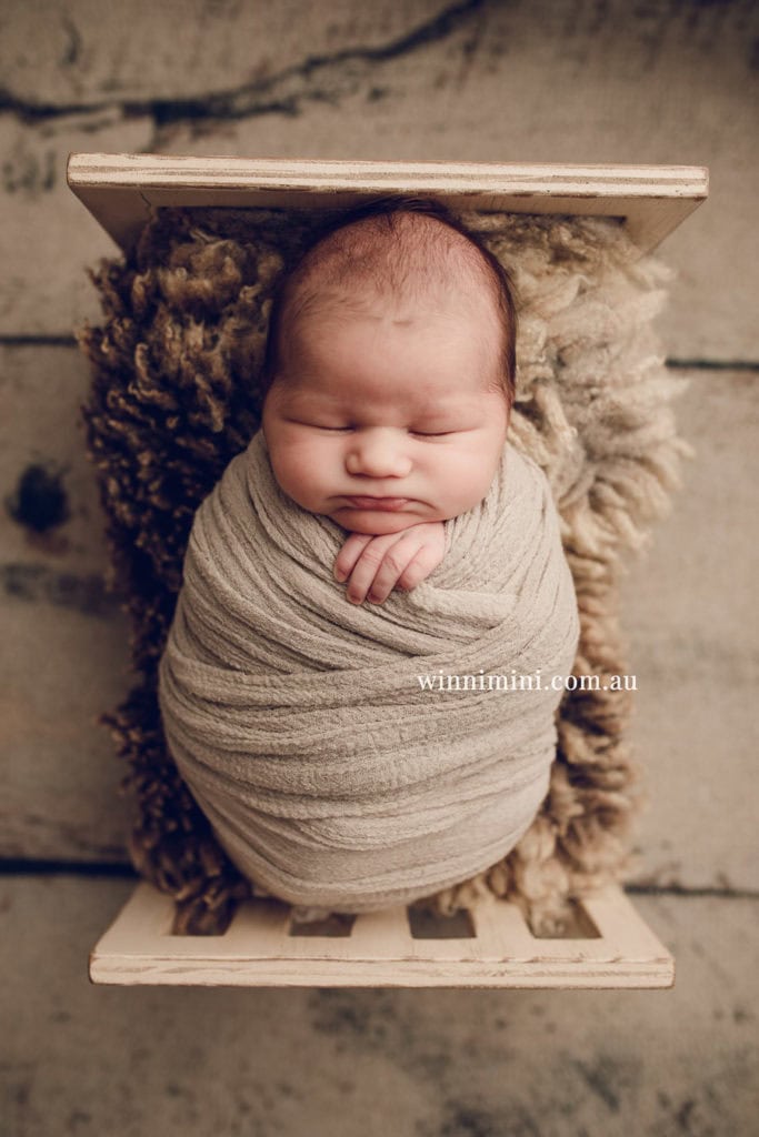 babies newborn baby family photographer photography photograph photos photo babies gold coast brisbane the best family picture pictures tanha basile winni mini