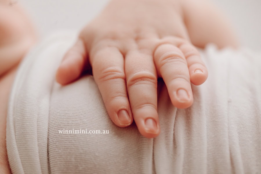 babies newborn baby family photographer photography photograph photos photo babies gold coast brisbane the best family picture pictures tanha basile winni mini