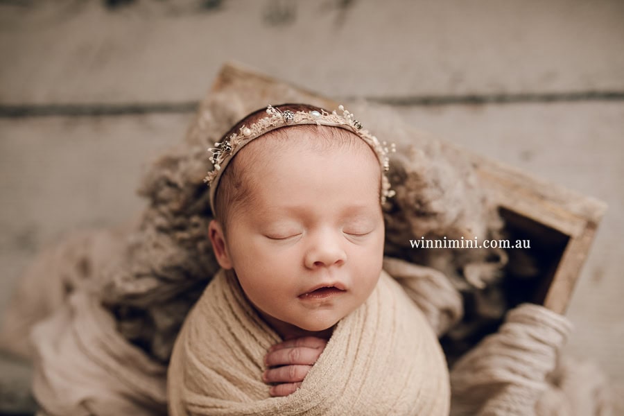 babies newborn baby family photographer photography photograph photos photo babies gold coast brisbane the best family picture pictures tanha basile winni mini
