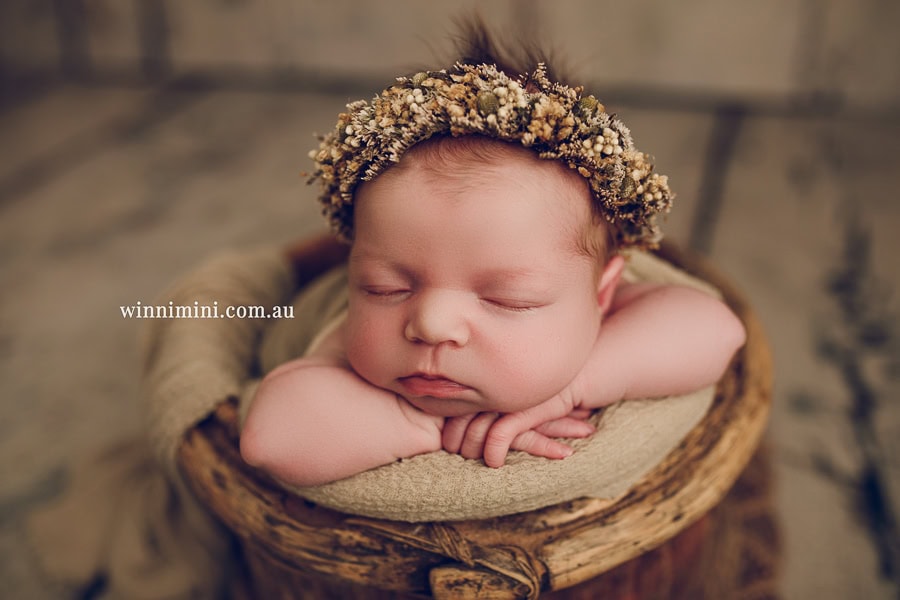 newborn baby family photographer photography photograph photos photo babies gold coast brisbane the best family picture pictures tanha basile winni mini