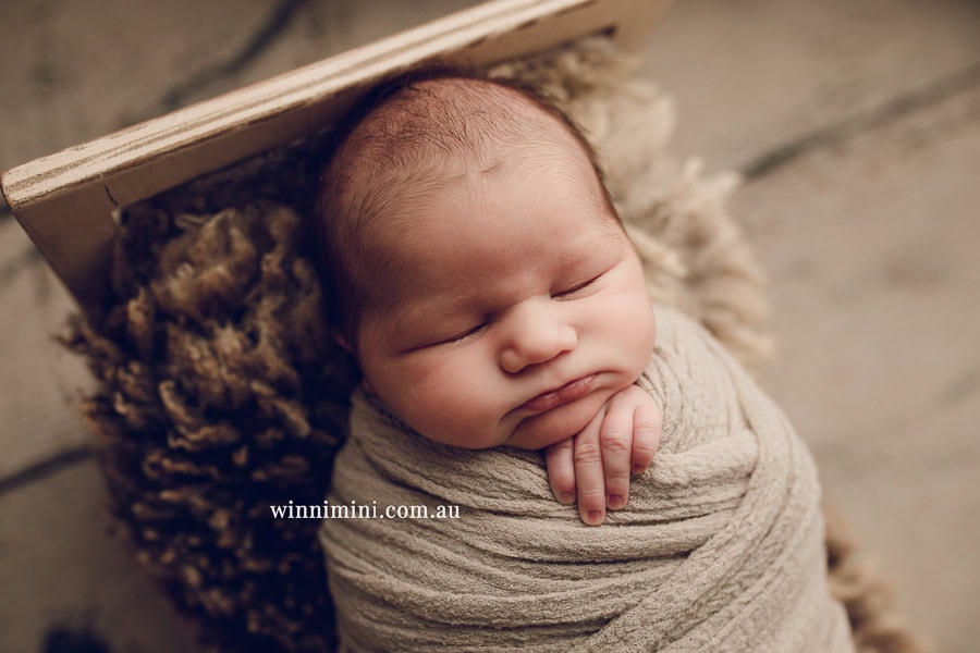 babies newborn baby family photographer photography photograph photos photo babies gold coast brisbane the best family picture pictures tanha basile winni mini
