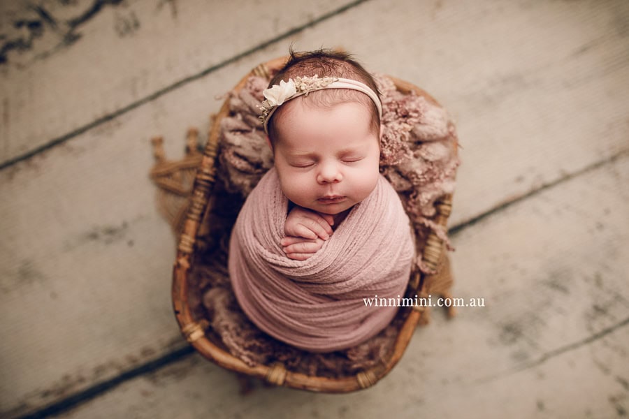 newborn baby family photographer photography photograph photos photo babies gold coast brisbane the best family picture pictures tanha basile winni mini