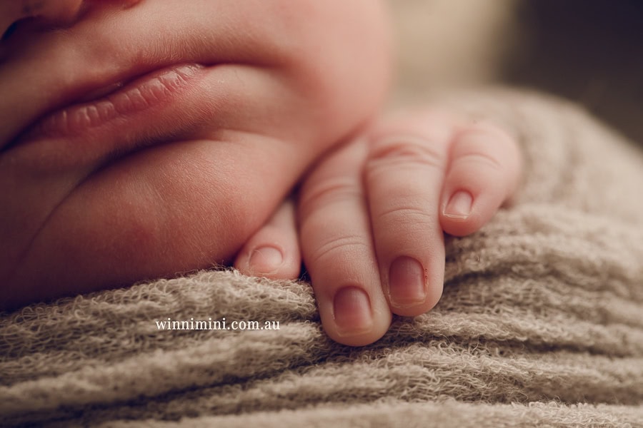 babies newborn baby family photographer photography photograph photos photo babies gold coast brisbane the best family picture pictures tanha basile winni mini