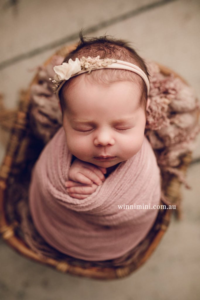 newborn baby family photographer photography photograph photos photo babies gold coast brisbane the best family picture pictures tanha basile winni mini