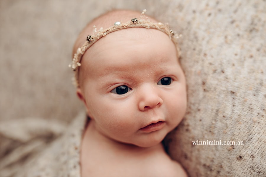 babies newborn baby family photographer photography photograph photos photo babies gold coast brisbane the best family picture pictures tanha basile winni mini