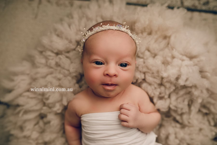 babies newborn baby family photographer photography photograph photos photo babies gold coast brisbane the best family picture pictures tanha basile winni mini