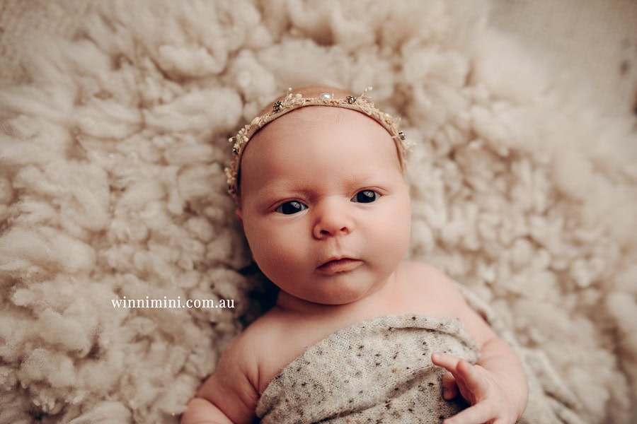 babies newborn baby family photographer photography photograph photos photo babies gold coast brisbane the best family picture pictures tanha basile winni mini
