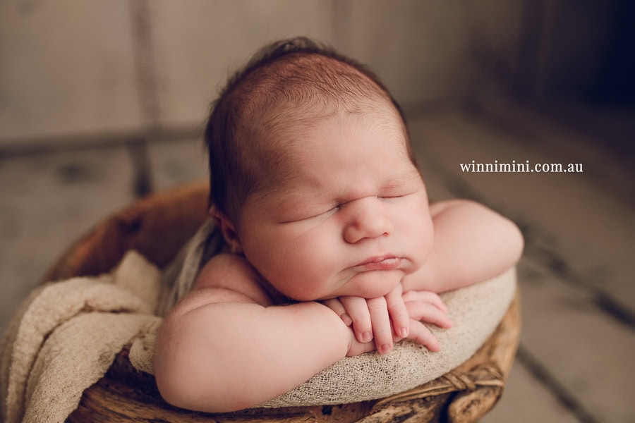 babies newborn baby family photographer photography photograph photos photo babies gold coast brisbane the best family picture pictures tanha basile winni mini