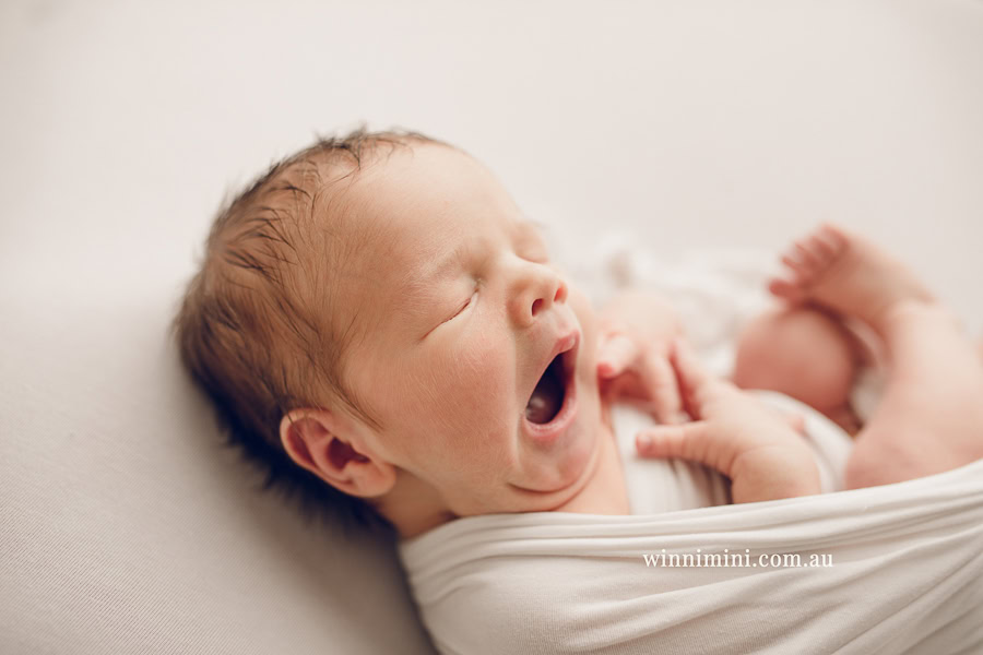 babies newborn baby family photographer photography photograph photos photo babies gold coast brisbane the best family picture pictures tanha basile winni mini