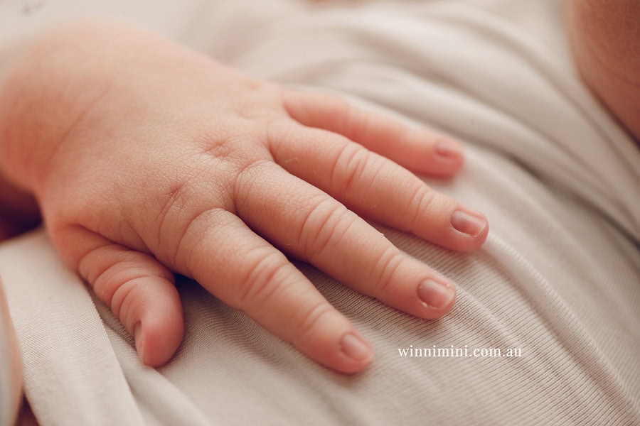 babies newborn baby family photographer photography photograph photos photo babies gold coast brisbane the best family picture pictures tanha basile winni mini
