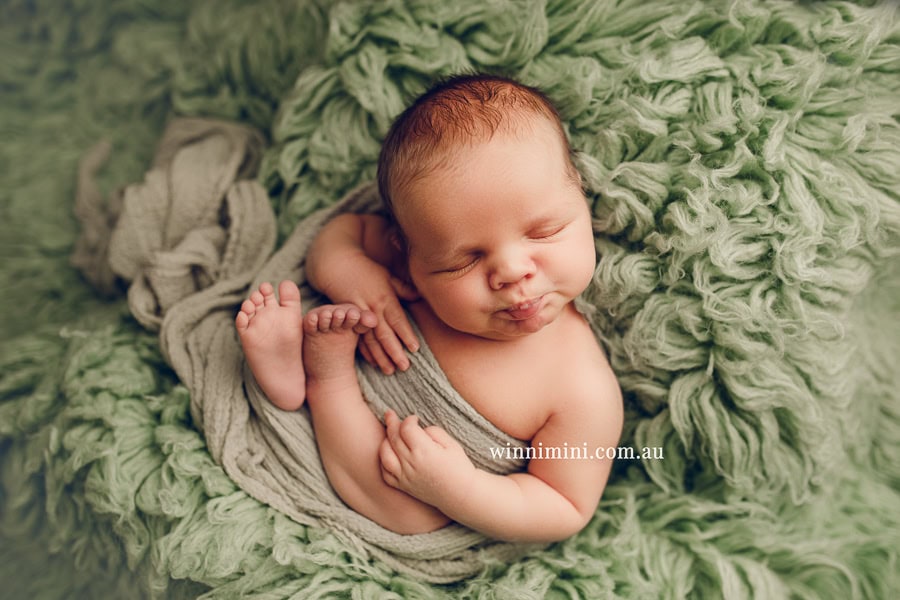 babies newborn baby family photographer photography photograph photos photo babies gold coast brisbane the best family picture pictures tanha basile winni mini