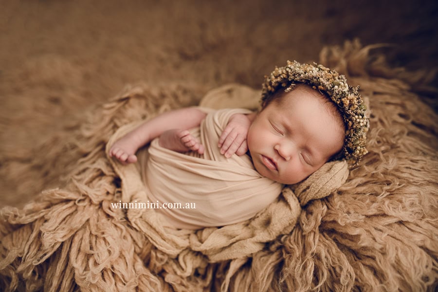 babies newborn baby family photographer photography photograph photos photo babies gold coast brisbane the best family picture pictures tanha basile winni mini