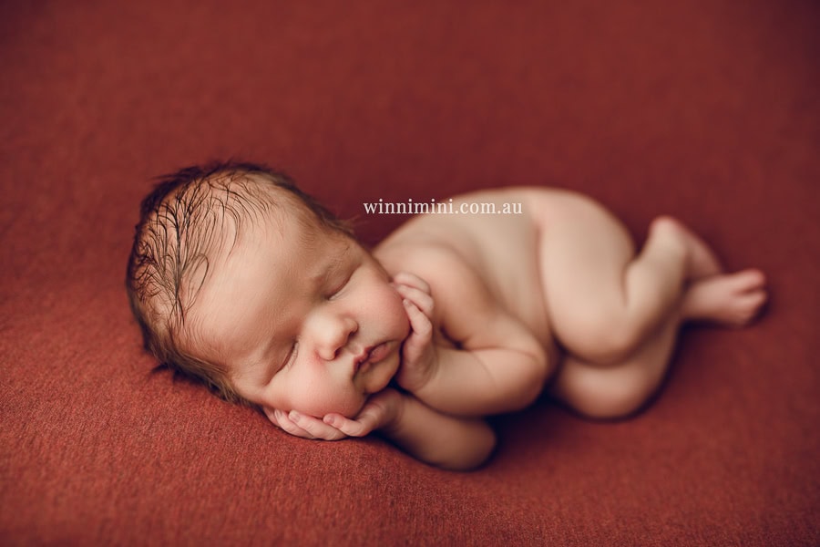 babies newborn baby family photographer photography photograph photos photo babies gold coast brisbane the best family picture pictures tanha basile winni mini