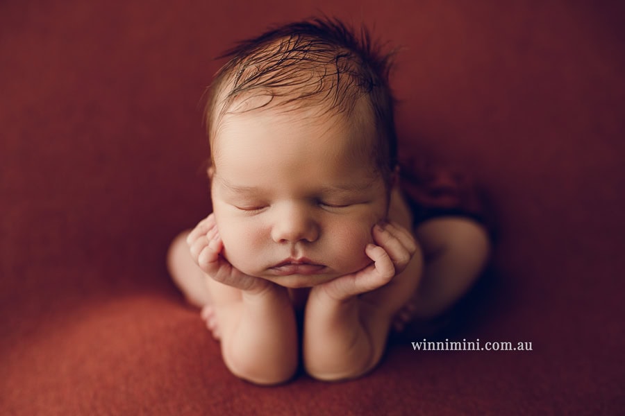 babies newborn baby family photographer photography photograph photos photo babies gold coast brisbane the best family picture pictures tanha basile winni mini