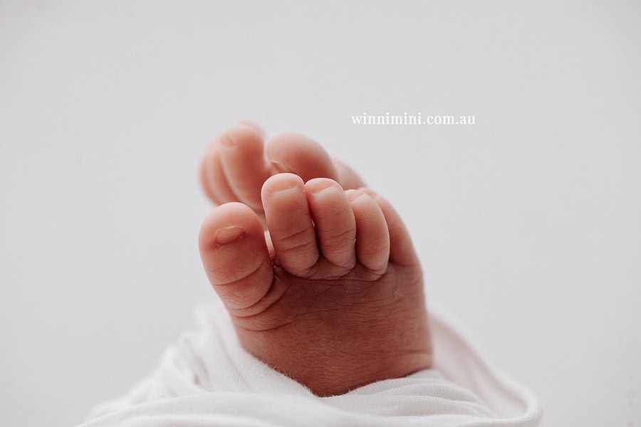 babies newborn baby family photographer photography photograph photos photo babies gold coast brisbane the best family picture pictures tanha basile winni mini