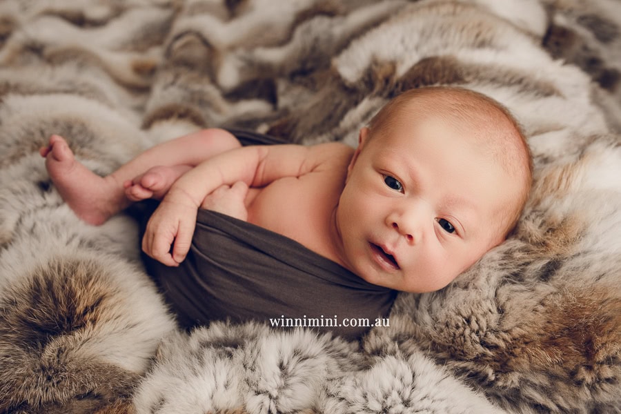 babies newborn baby family photographer photography photograph photos photo babies gold coast brisbane the best family picture pictures tanha basile winni mini