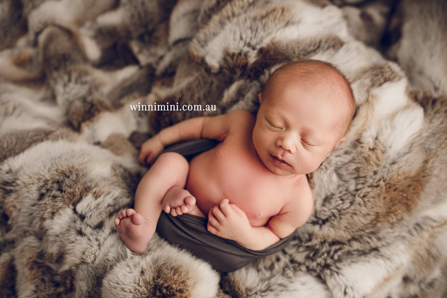 babies newborn baby family photographer photography photograph photos photo babies gold coast brisbane the best family picture pictures tanha basile winni mini