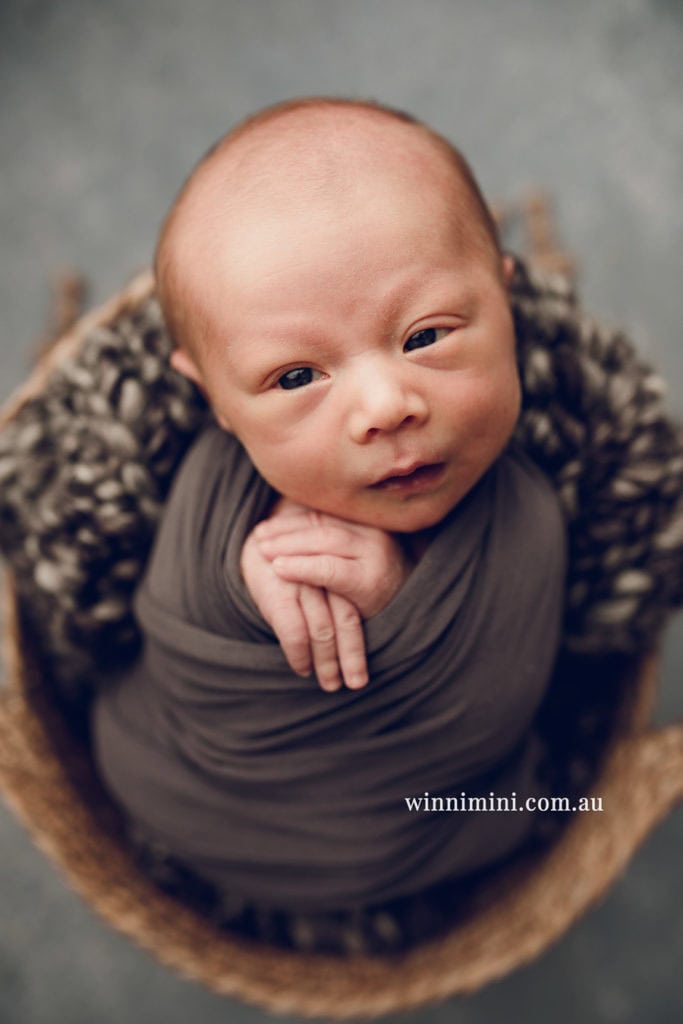 babies newborn baby family photographer photography photograph photos photo babies gold coast brisbane the best family picture pictures tanha basile winni mini