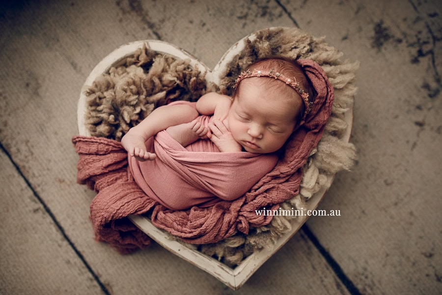 babies newborn baby family photographer photography photograph photos photo babies gold coast brisbane the best family picture pictures tanha basile winni mini