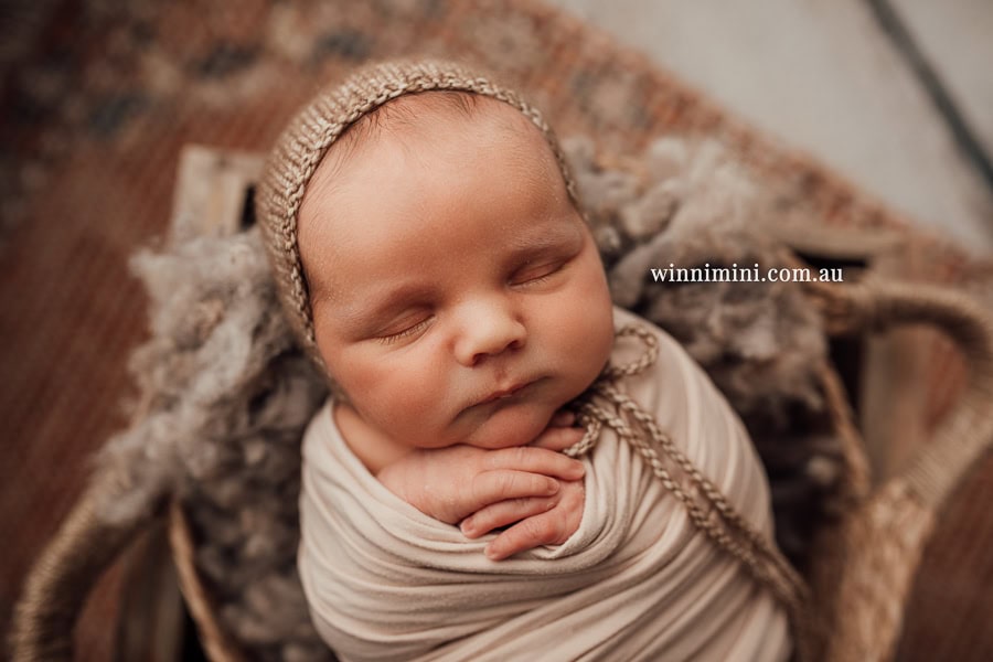babies newborn baby family photographer photography photograph photos photo babies gold coast brisbane the best family picture pictures tanha basile winni mini