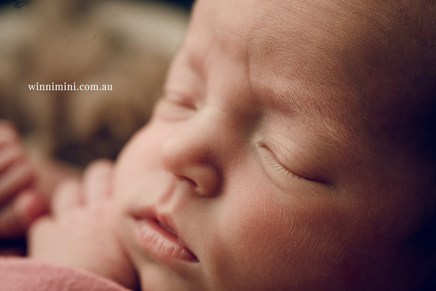 babies newborn baby family photographer photography photograph photos photo babies gold coast brisbane the best family picture pictures tanha basile winni mini