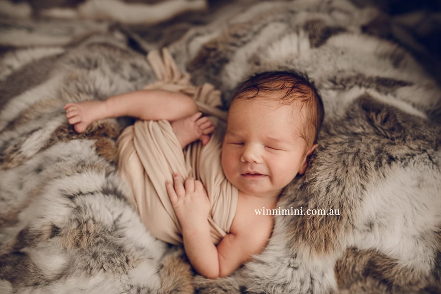 babies newborn baby family photographer photography photograph photos photo babies gold coast brisbane the best family picture pictures tanha basile winni mini