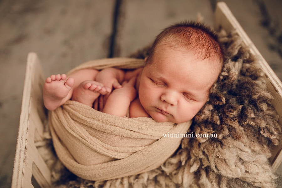 babies newborn baby family photographer photography photograph photos photo babies gold coast brisbane the best family picture pictures tanha basile winni mini