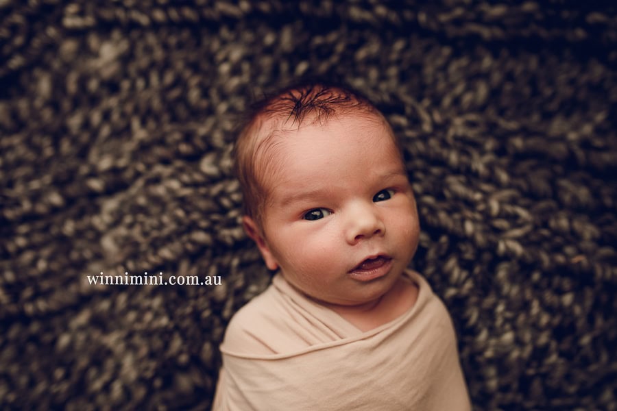 babies newborn baby family photographer photography photograph photos photo babies gold coast brisbane the best family picture pictures tanha basile winni mini