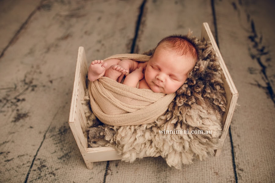 babies newborn baby family photographer photography photograph photos photo babies gold coast brisbane the best family picture pictures tanha basile winni mini