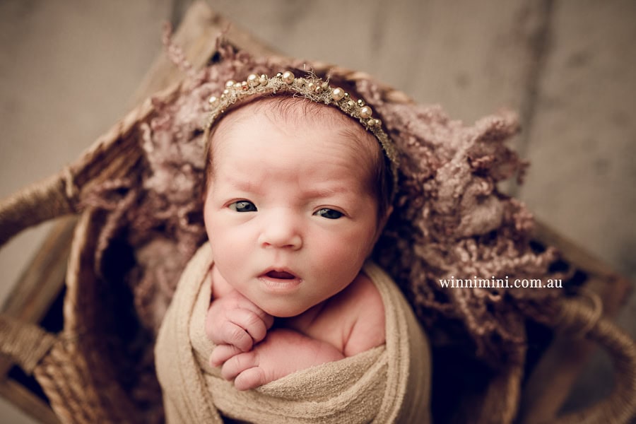 babies newborn baby family photographer photography photograph photos photo babies gold coast brisbane the best family picture pictures tanha basile winni mini
