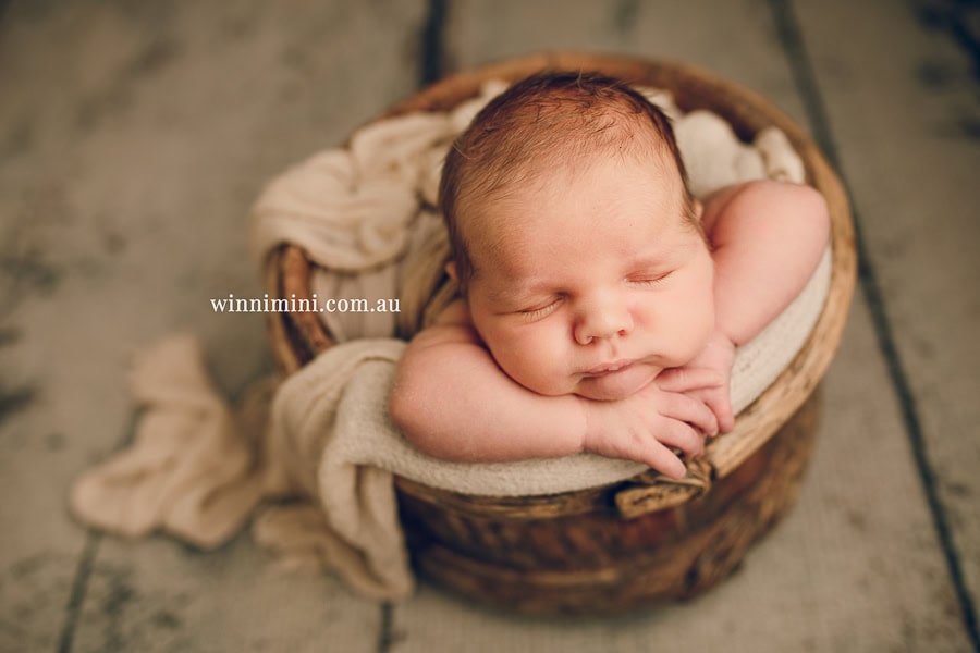 babies newborn baby family photographer photography photograph photos photo babies gold coast brisbane the best family picture pictures tanha basile winni mini