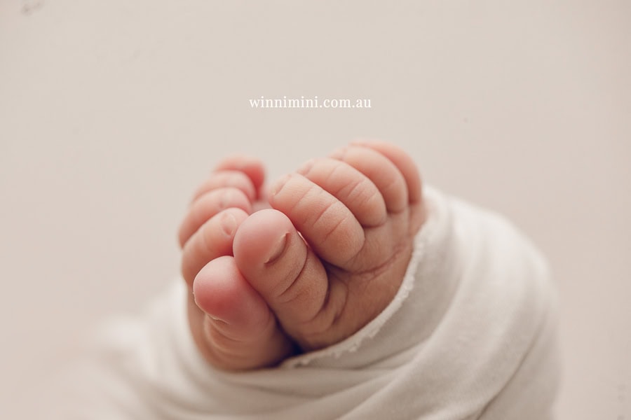 babies newborn baby family photographer photography photograph photos photo babies gold coast brisbane the best family picture pictures tanha basile winni mini