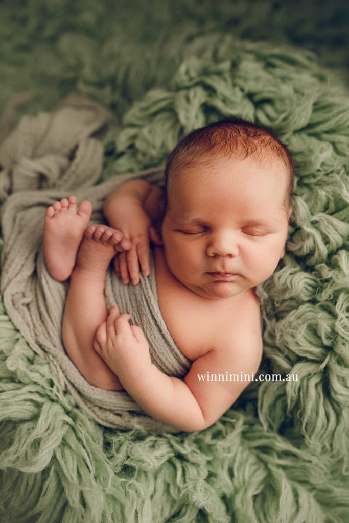 babies newborn baby family photographer photography photograph photos photo babies gold coast brisbane the best family picture pictures tanha basile winni mini