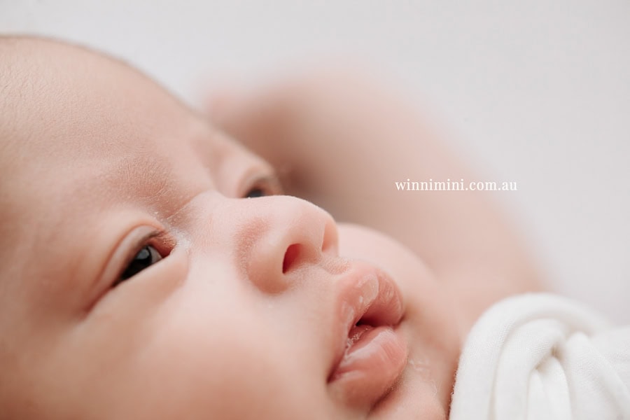 newborn baby family photographer tanha photography photograph photos photo babies gold coast brisbane the best family picture pictures tanha basile winni mini