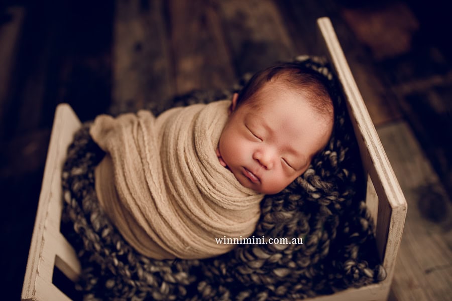 newborn baby family photographer tanha photography photograph photos photo babies gold coast brisbane the best family picture pictures tanha basile winni mini -1