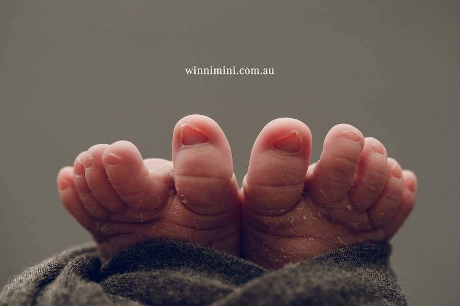 newborn baby family photographer tanha photography photograph photos photo babies gold coast brisbane the best family picture pictures tanha basile winni mini